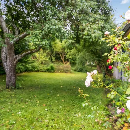 Agrippa - 30m To The Fjord By Interhome Vakantiehuis
